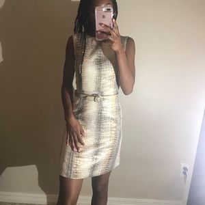 Metallic Dress